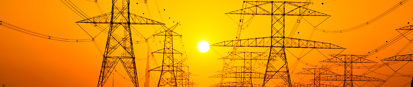 OPERADOR DEL MERCADO IBÉRICO DE ELECTRICIDAD (OMIE)